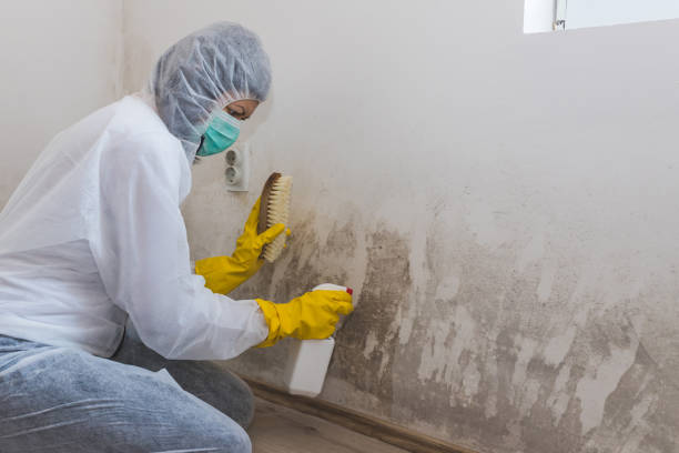 Best Water Damage & Mold Remediation in Eufaula, OK