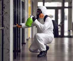 Why You Should Choose Our Mold Remediation Services in Eufaula, OK